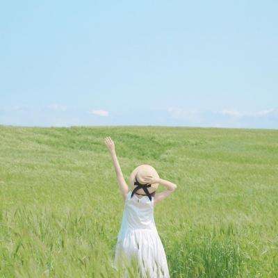 24名中国游客在加拿大因交通事故受伤