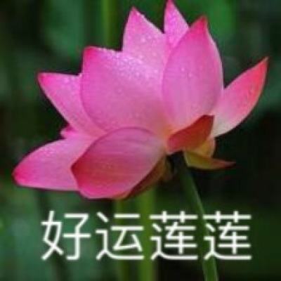 朱婷强敌出现！21岁天才惊艳世界 新得分狂人横空出世