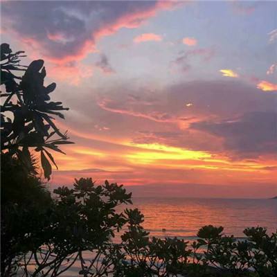 国防部新闻发言人就近期中东局势答记者问